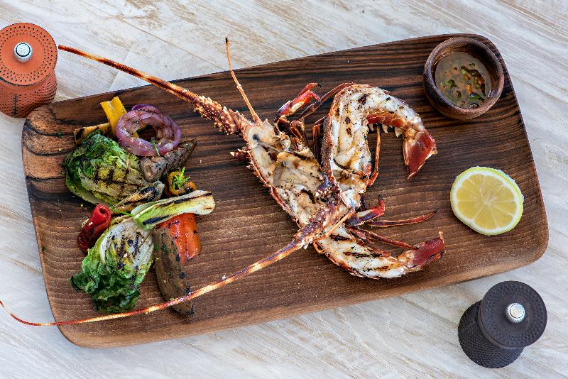 Hyatt Regency Taghazout - Restoran