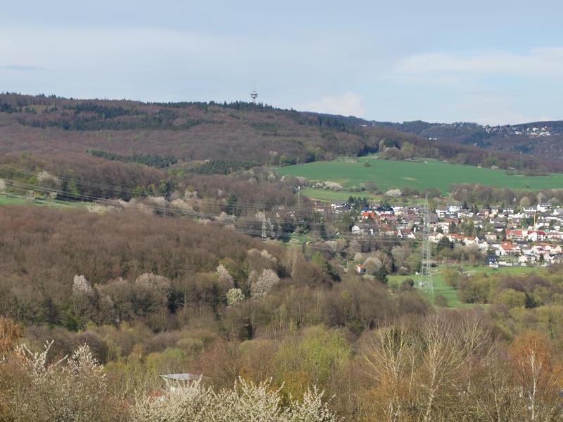 H+ Hotel Wiesbaden Niedernhausen - Genel