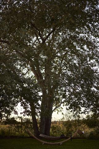 The Roundtree, Amagansett fotoÄŸrafÄ±