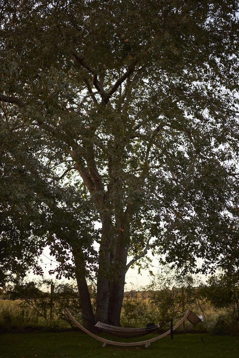 The Roundtree, Amagansett - Aktivite