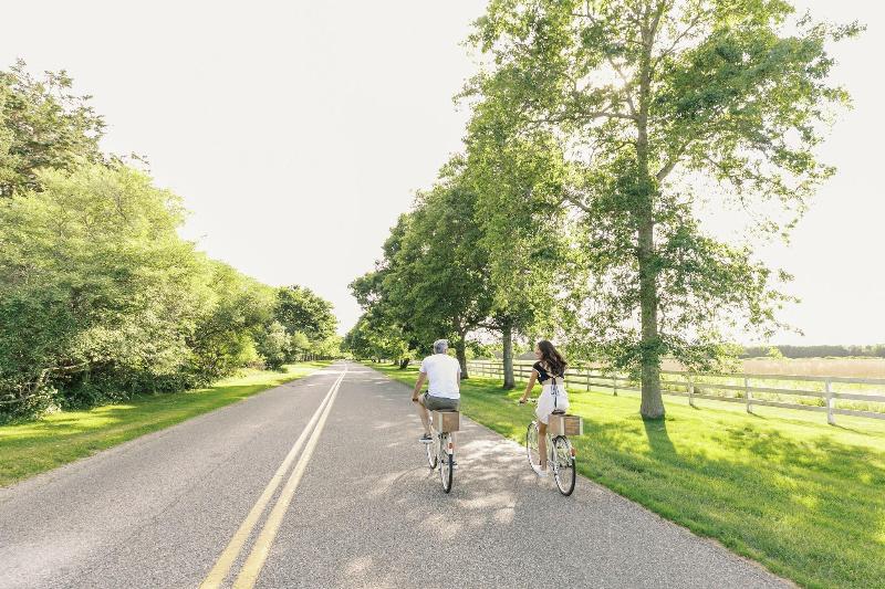The Roundtree, Amagansett - Aktivite