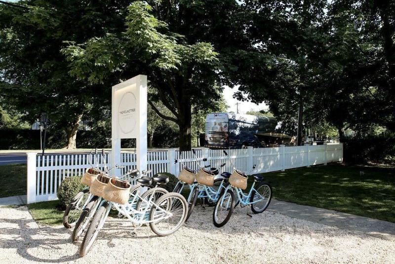 The Roundtree, Amagansett - Aktivite