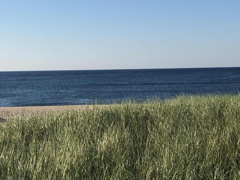 The Roundtree, Amagansett - Genel