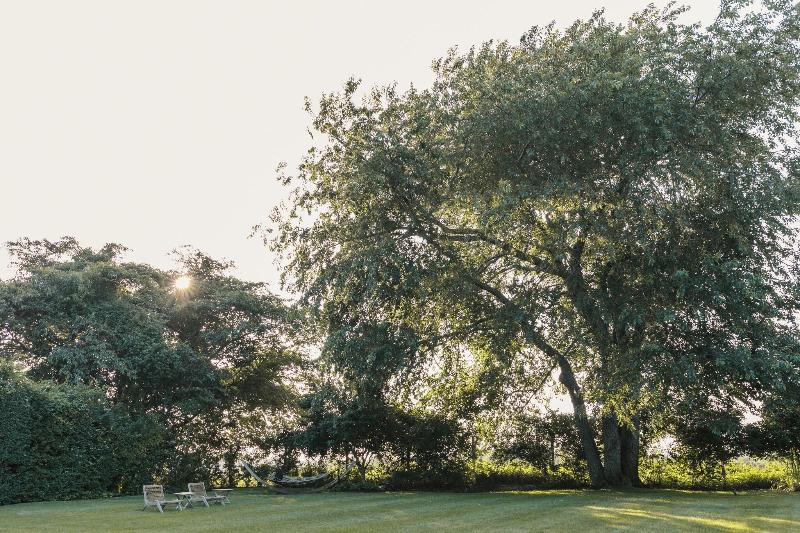 The Roundtree, Amagansett - Genel