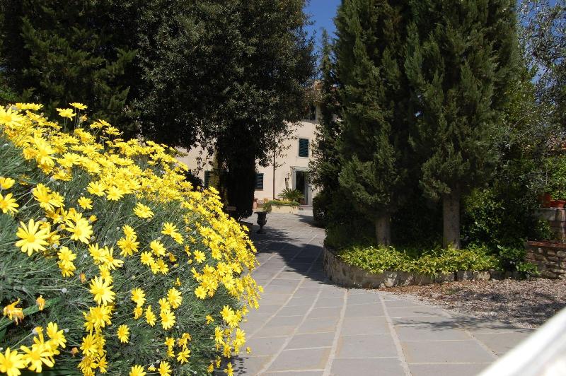 Villa I Barronci Resort & Spa - Genel