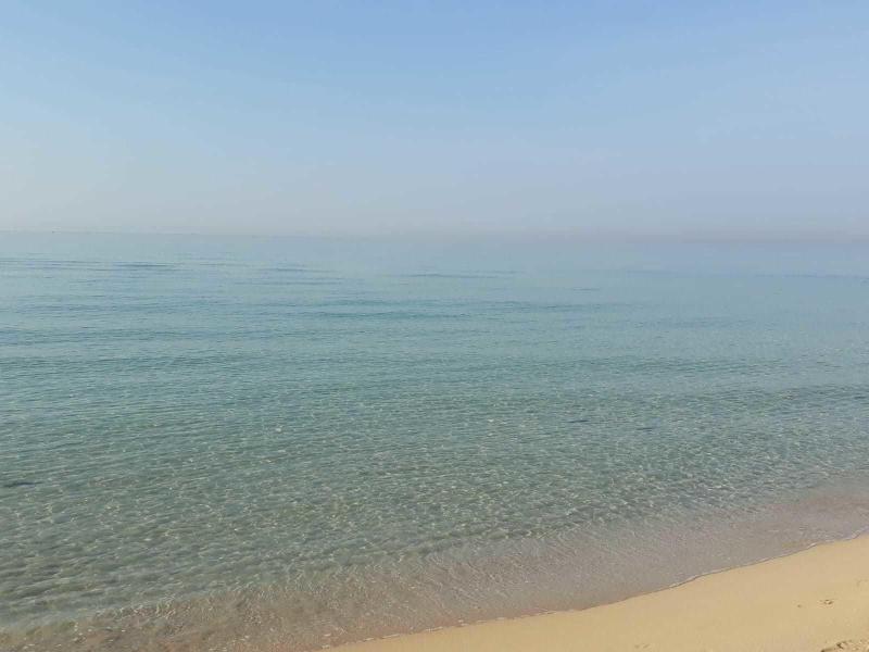 Morello Beach Hotel - Plaj