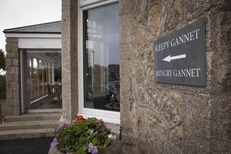 The Gannet Inn - Genel