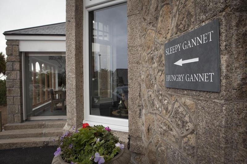 The Gannet Inn - Genel