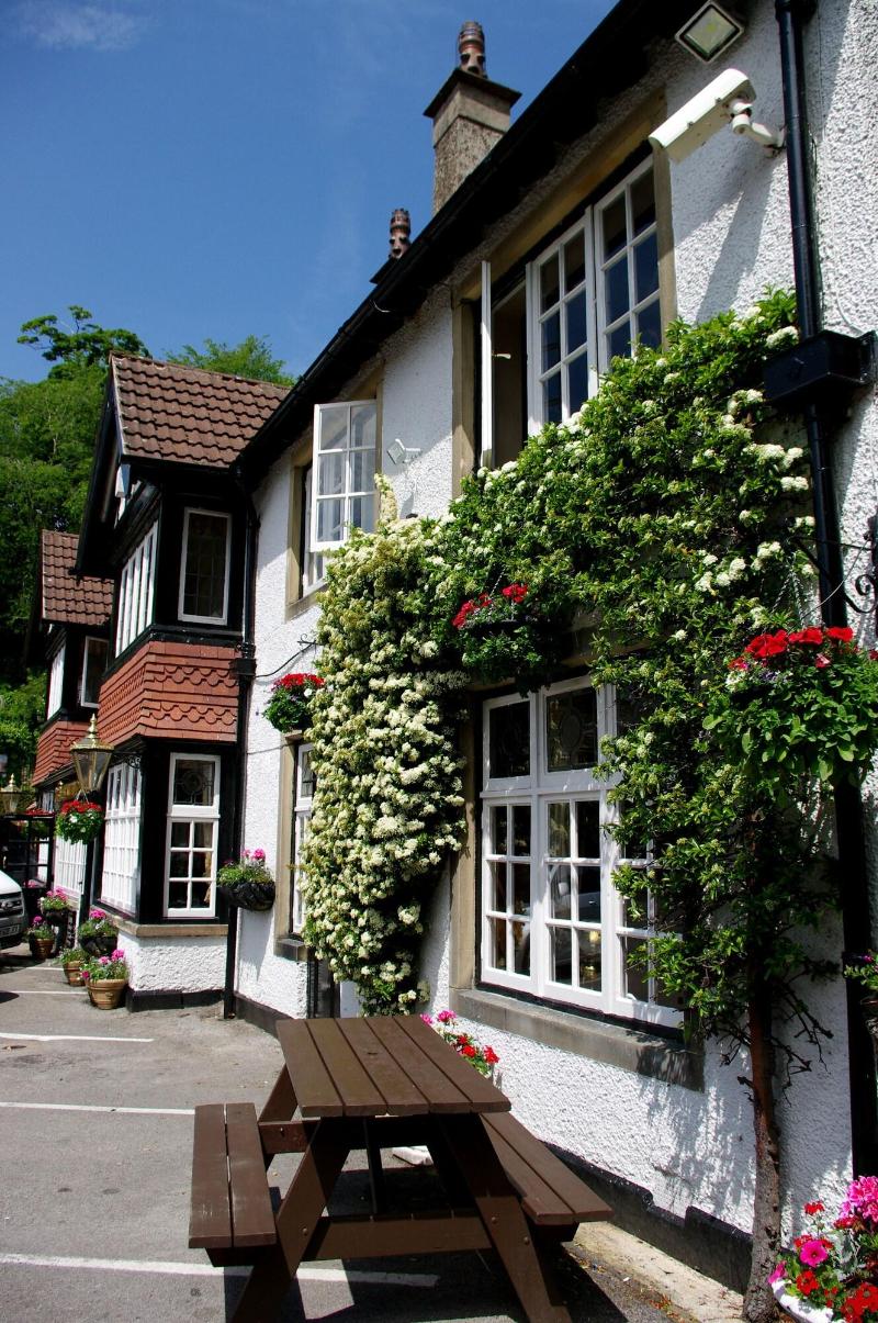 Scotsman's Pack Hotel - Genel