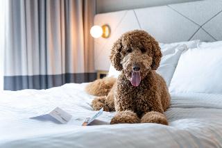 Residence Inn By Marriott Slough fotoÄŸrafÄ±
