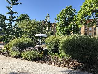 Bildungshaus St. Bernhard-Wohnen & Tagen Rastatt fotoÄŸrafÄ±