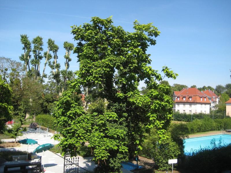 Bildungshaus St. Bernhard-Wohnen & Tagen Rastatt - Oda