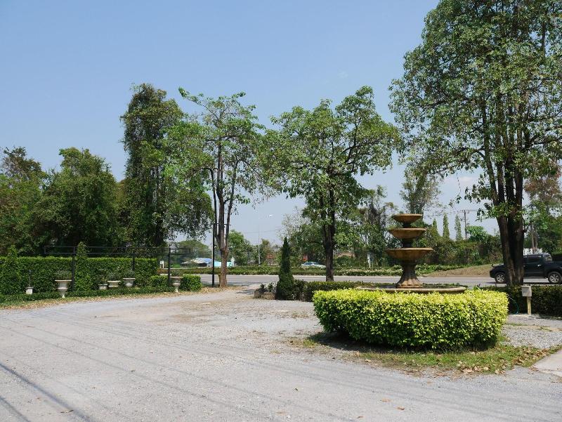 Punya Garden by ZUZU - Genel