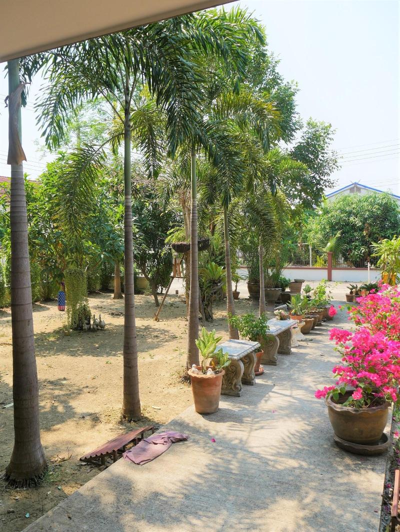 Punya Garden by ZUZU - Genel