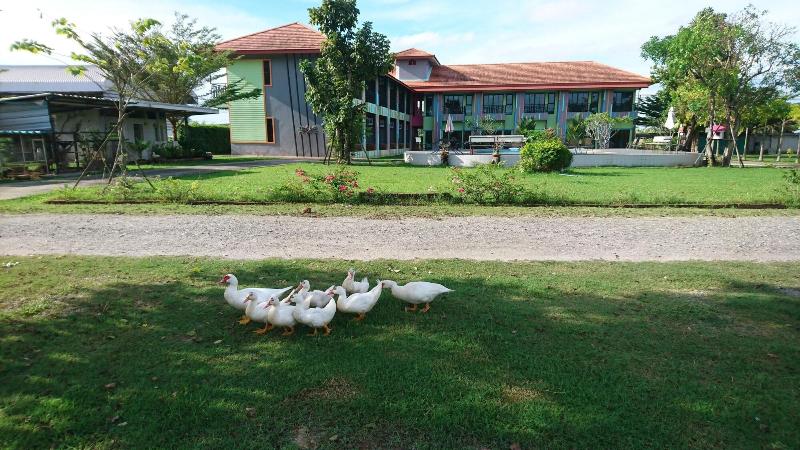 Madoony Resort - Aktivite