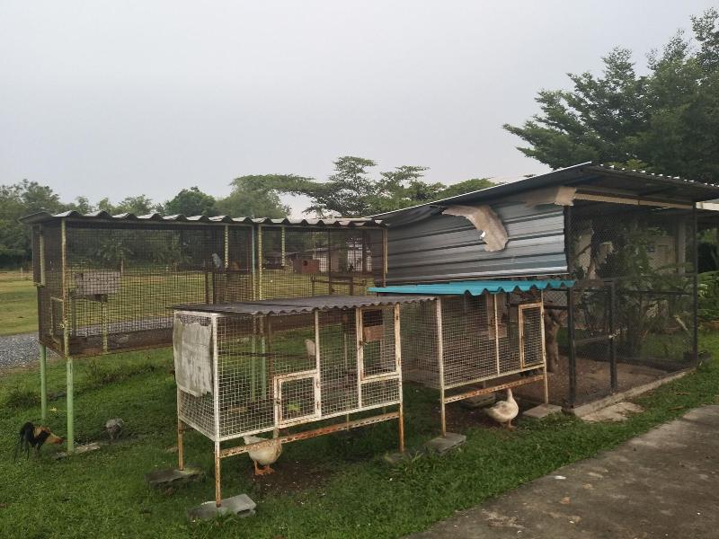 Madoony Resort - Genel