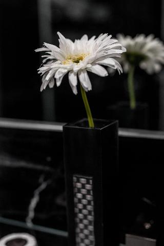 Black fotoÄŸrafÄ±