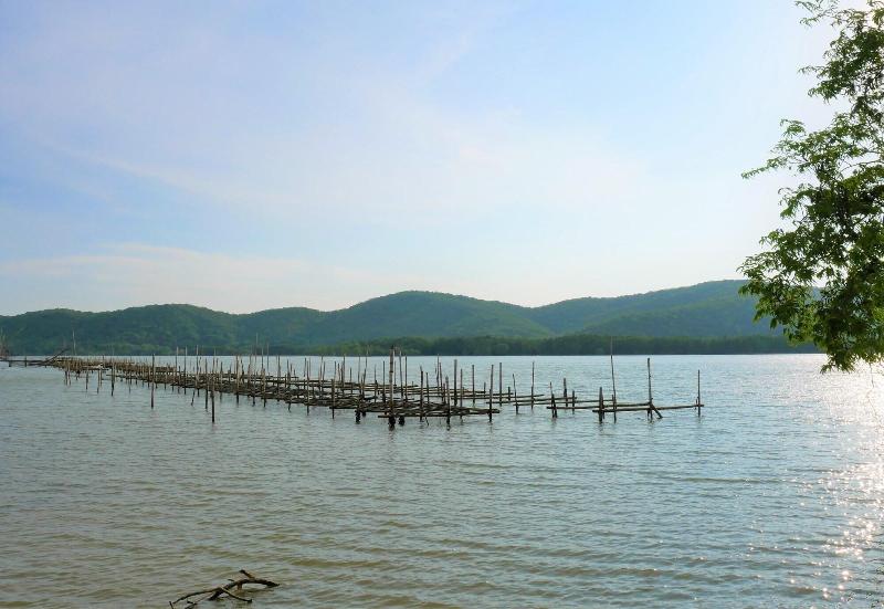 Ko Nokyai Resort - Genel