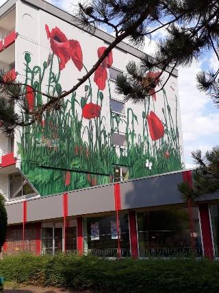 Hotel Im Park fotoÄŸrafÄ±