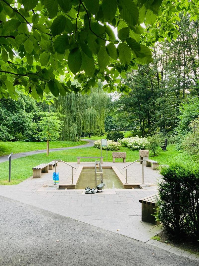 Hotel Im Park - Genel