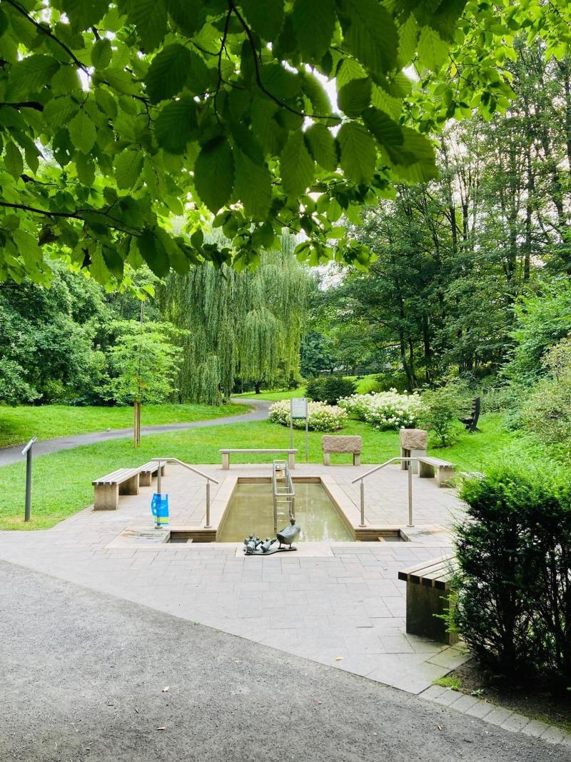 Hotel Im Park - Genel