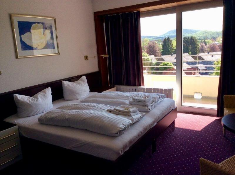 Hotel Im Park - Oda