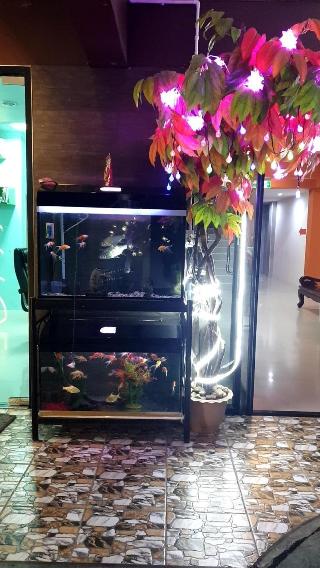 Lert Sri Hotel fotoÄŸrafÄ±