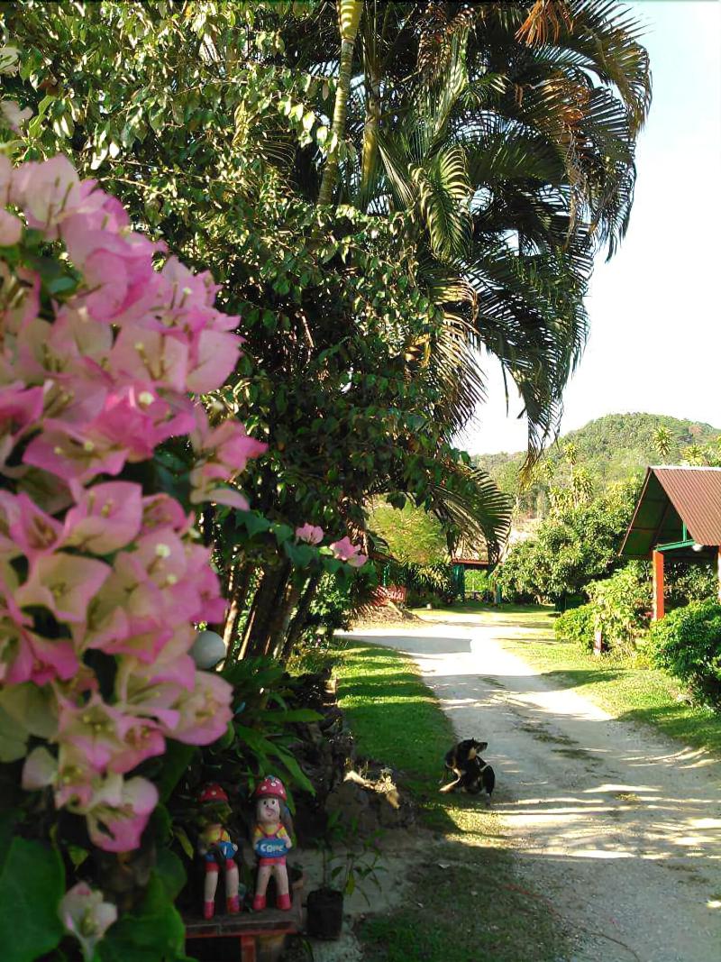 Nason Resort - Lobi