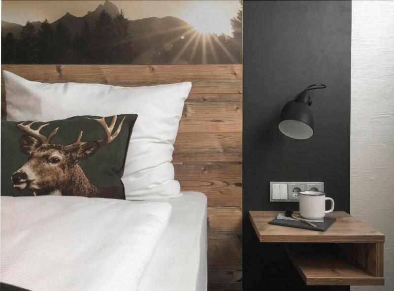 Homehotel Salzberg - Oda