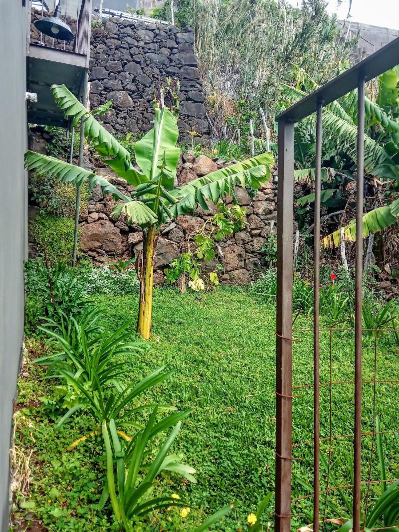 Les Terrasses Suites - Genel