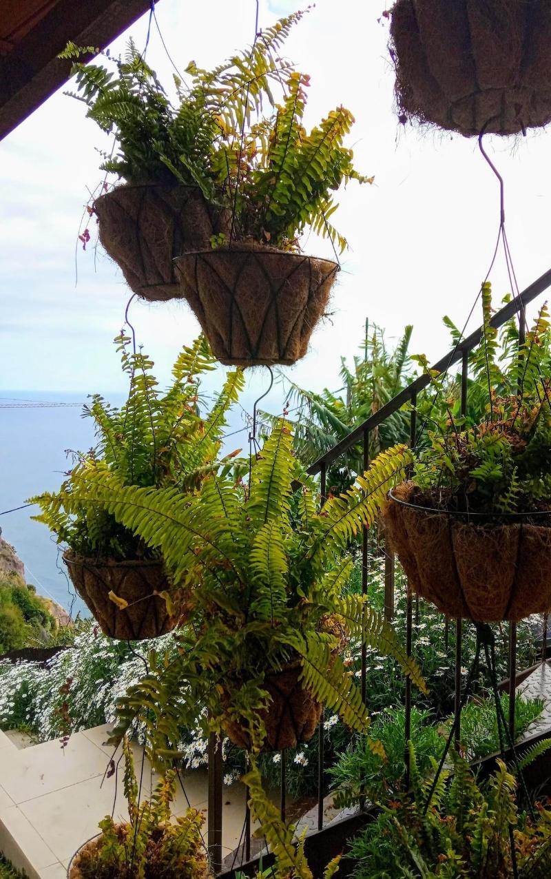 Les Terrasses Suites - Genel