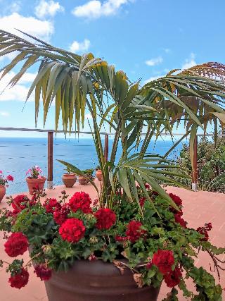 Les Terrasses Suites fotoÄŸrafÄ±