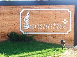Sansuntree fotoÄŸrafÄ±