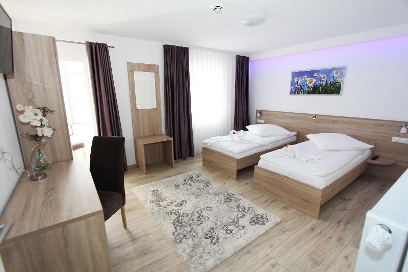 Pension Villa Colosseo - Oda