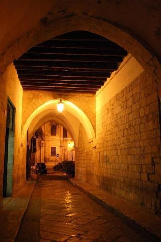 Domatia fotoÄŸrafÄ±
