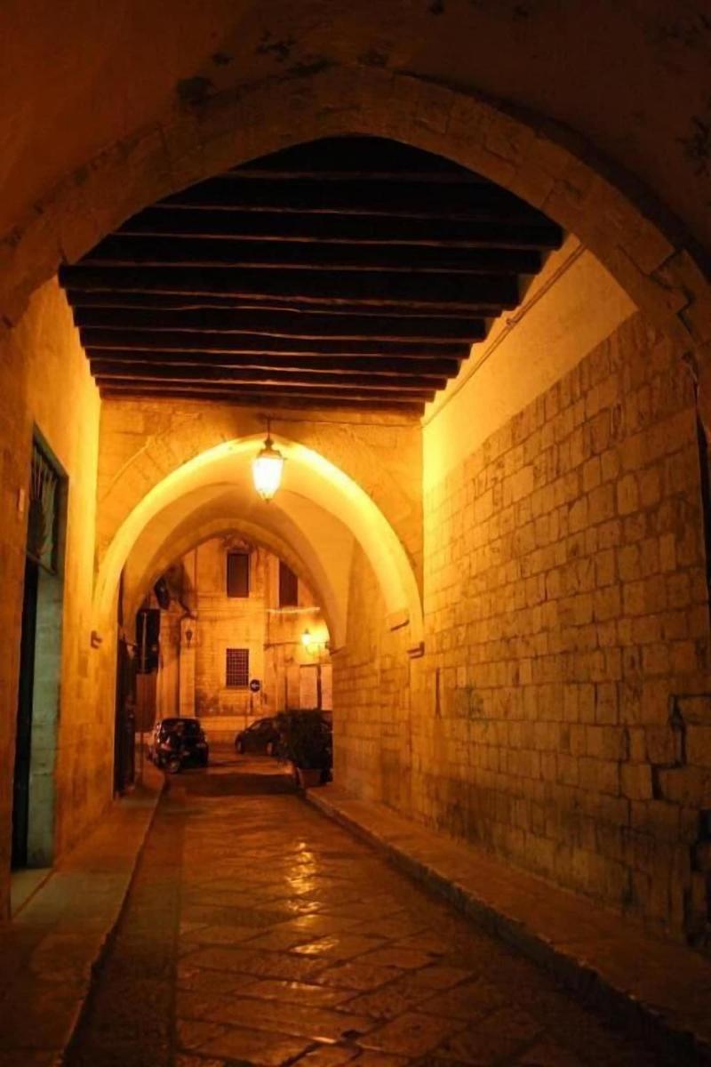 Domatia - Lobi