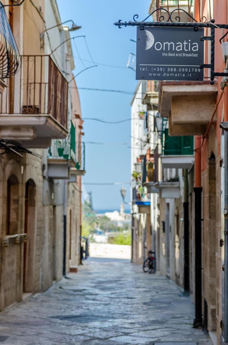 Domatia - Genel