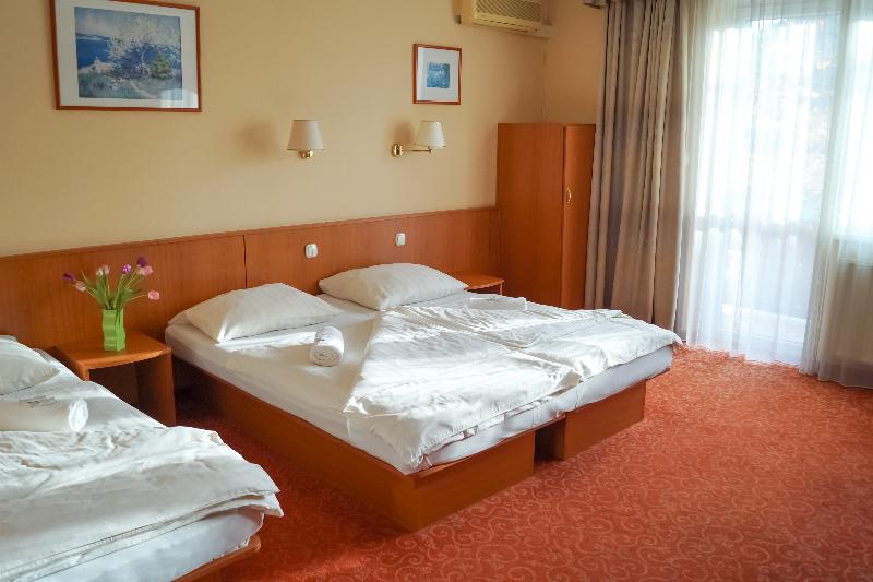 Korona Pension - Oda