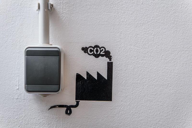 Swanky Mint Hostel - Oda
