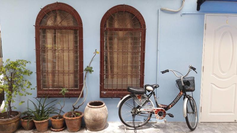 Danee Hostel - Aktivite