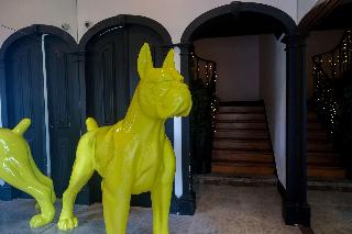 RM Guest House - The Experience fotoÄŸrafÄ±