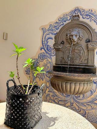 Residence Lagos fotoÄŸrafÄ±