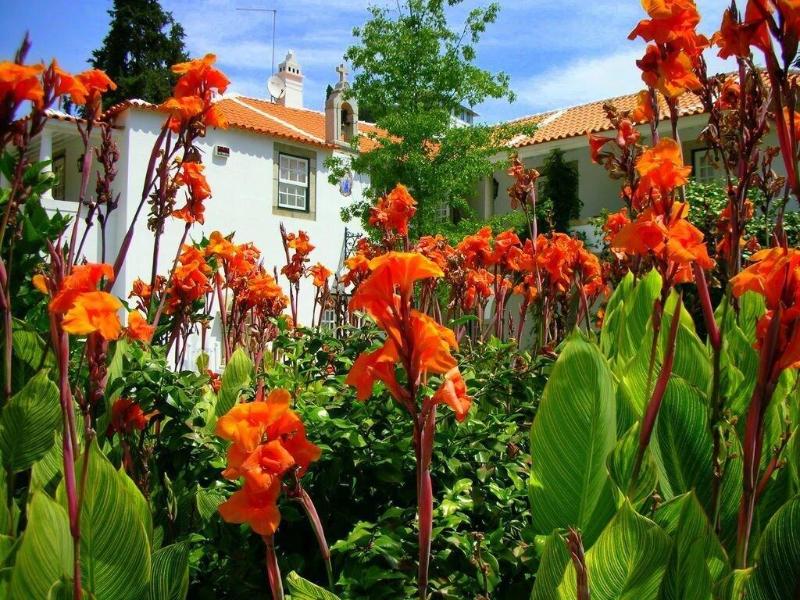 Casa Da Azenha - Genel