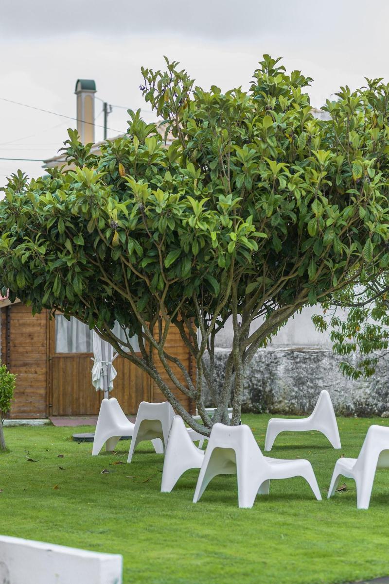 Casa das Hortênsias - Charming Guest House - Genel