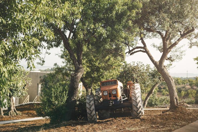 Country House Villadorata - Genel