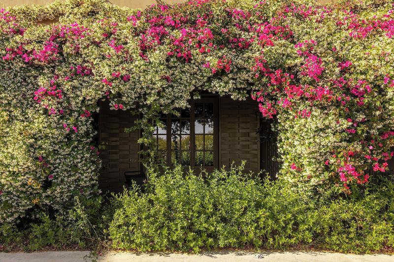 Country House Villadorata - Oda