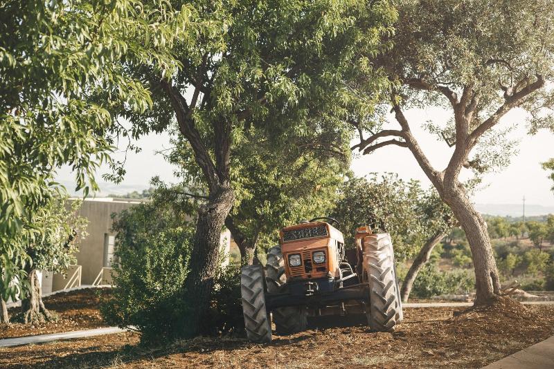 Country House Villadorata - Teras