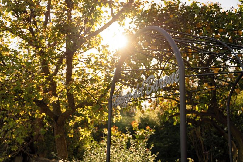 Relais Palazzo del Barone - Adults Only - Genel
