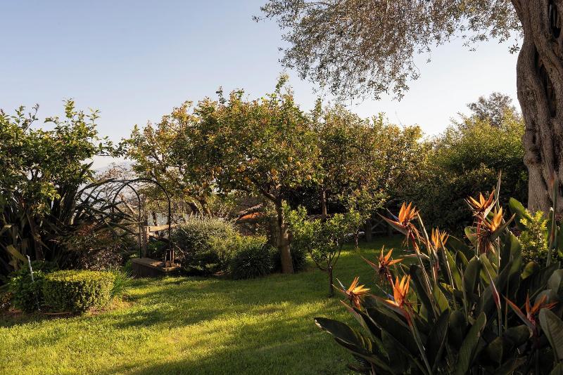 Relais Palazzo del Barone - Adults Only - Genel