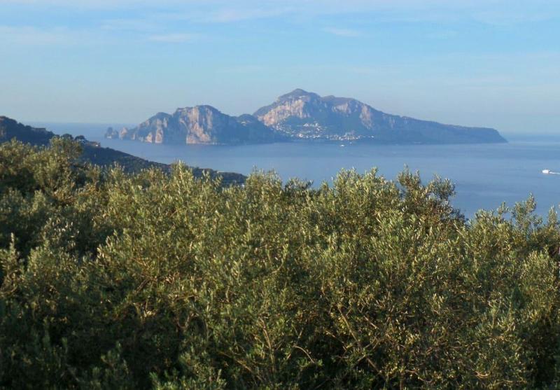 Relais Palazzo del Barone - Adults Only - Genel